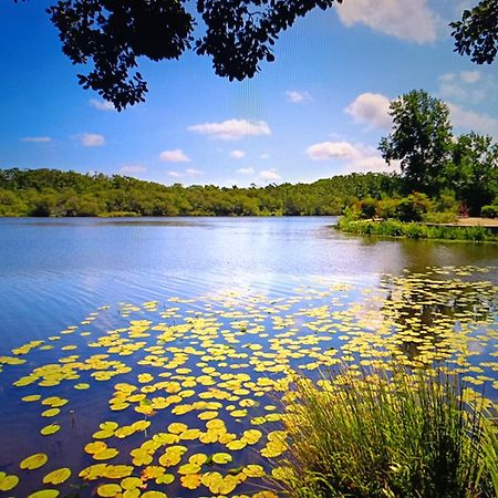 Vacances Dans Les Landes Aureilhan  Exterior foto