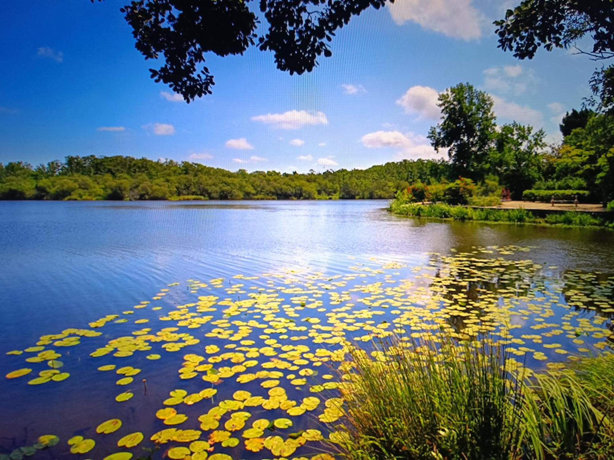 Vacances Dans Les Landes Aureilhan  Exterior foto